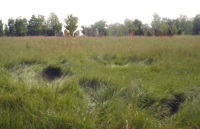 I Crop circle del 2006