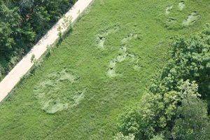  I Crop Circle del 2007