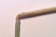 I Crop circle del 2010