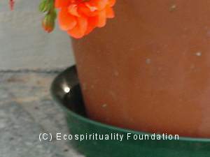 L'incontro con la Earth Light