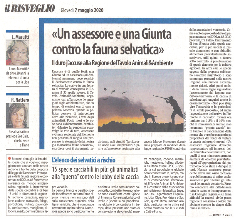 il Risveglio 07-05-2020-un-assessore-e-una-giunta-contro-la-fauna-selvatica