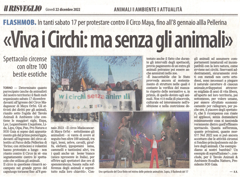 il-risveglio-22-12-2022-viva-i-circhi-senza-animali