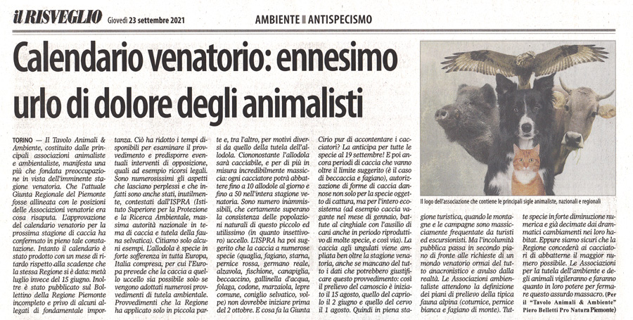 il-risveglio-23-09-2021-calendario-venatorio-urlo-dolore-animalisti.jpg