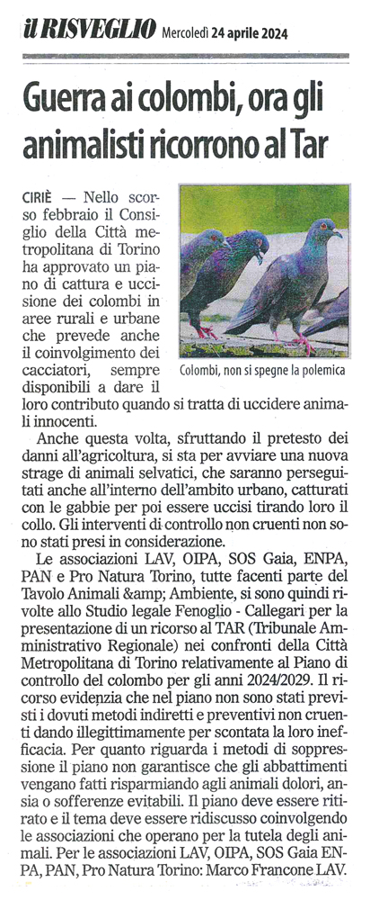 il-risveglio-24-04-2024-tavolo-animali-ambiente-colombi-tar.jpg