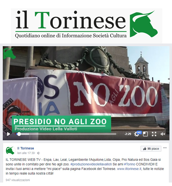 Il Torinese - 15 ottobre 2017 - Presidio NO AGLI ZOO, 14 ottobre 2017, Torino