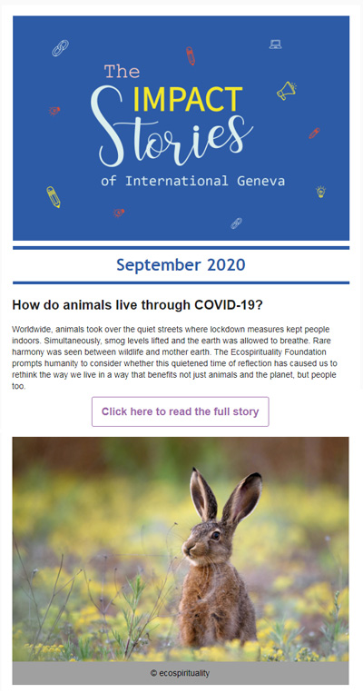 impact-stories-of-international-geneva-september-2020-animals-covid-19