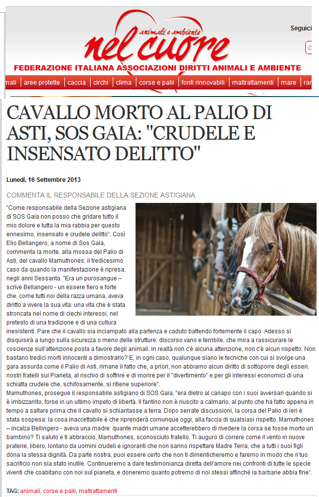 CAVALLO MORTO AL PALIO DI ASTI, SOS GAIA: CRUDELE E INSENSATO DELITTO